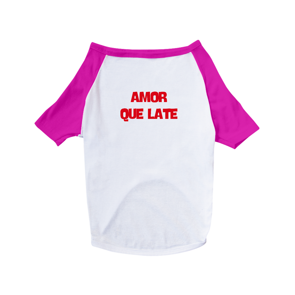 Pet AMOR QUE LATE