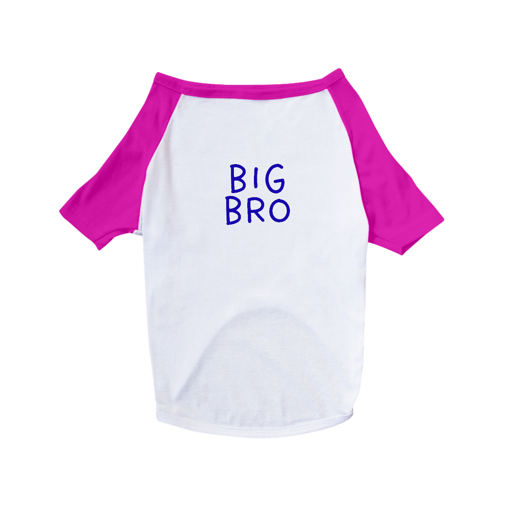 Pet BIG BRO