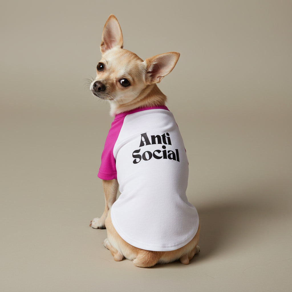 Pet ANTISOCIAL
