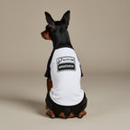 Pet ALTO EM ANSIEDADE