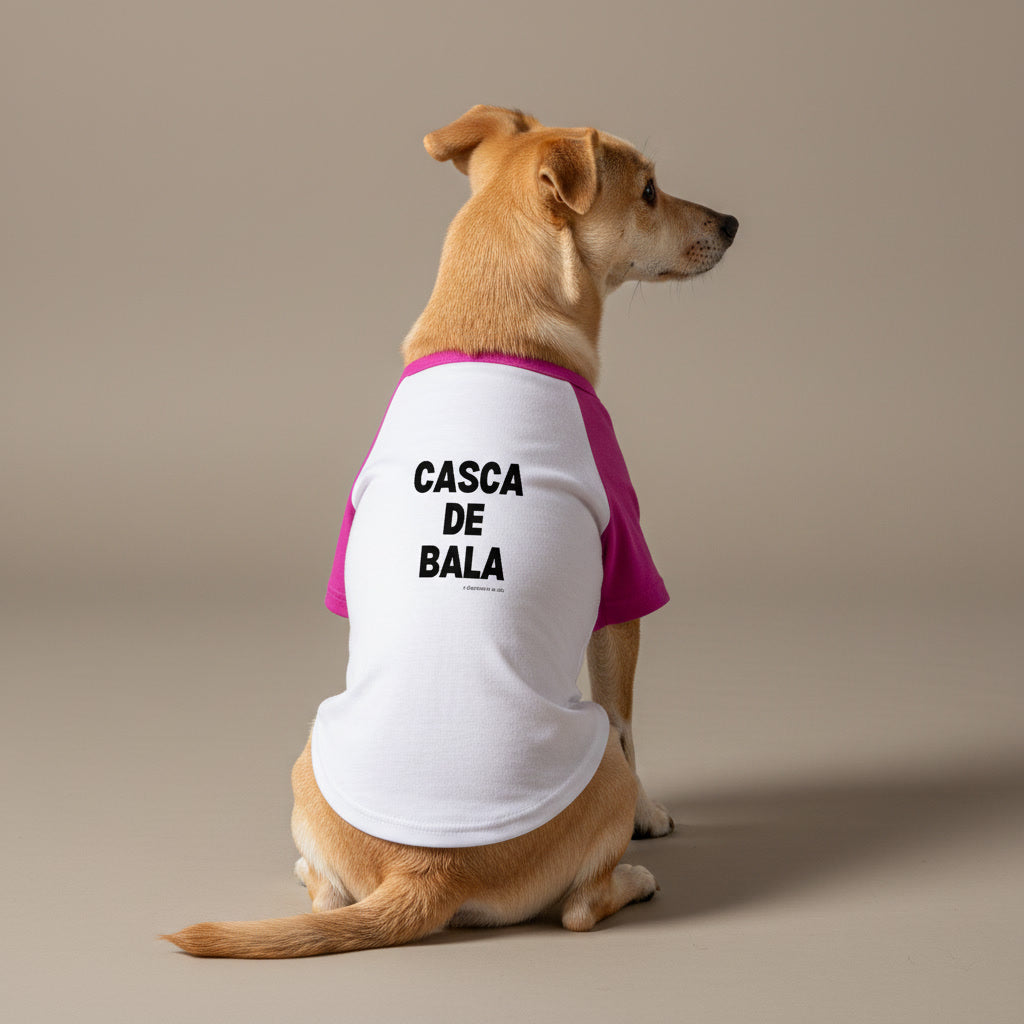 Pet CASCA DE BALA
