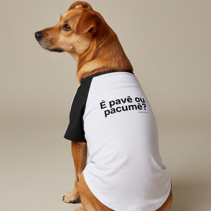 Pet "É PAVÊ OU PACUMÊ?"