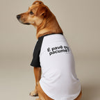 Pet "É PAVÊ OU PACUMÊ?"